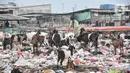 Warga membuang sampah di dekat kawanan kambing ternak di pesisir Cilincing, Jakarta Utara, Minggu (12/6/2022). Minimnya kesadaran peternak di kawasan tersebut menyebabkan kawanan kambing berburu makanan di tempat pembuangan sampah yang dapat membahayakan kesehatan hewan, terlebih akan dijual untuk kurban Idul Adha. (merdeka.com/Iqbal S. Nugroho)