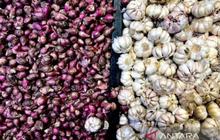 Harga Pangan Terkini: Bawang Merah dan Cabai Rawit Merah Masih Tinggi Menurut PIHPS