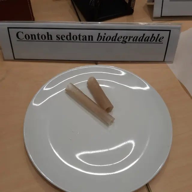 Penemuan baru, Sedotan dari Biji Nangka