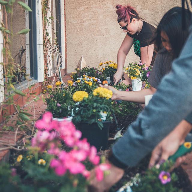 40 Kata Kata Bijak Tentang Berkebun Memberi Makanan Pada Jiwa Ragam Bola Com