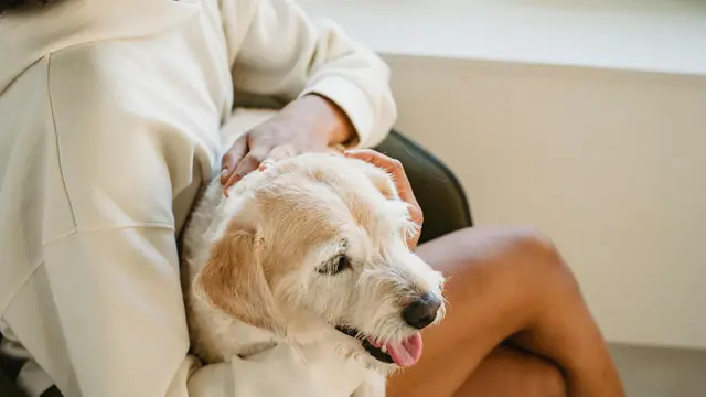 2. Capricorn: Fokus pada Nilai yang Bermakna