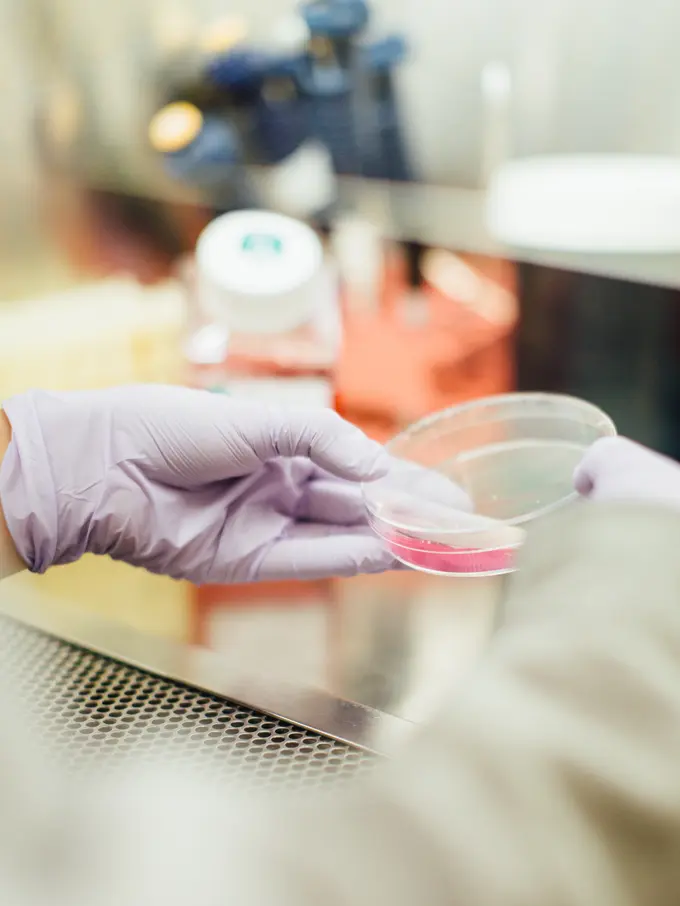 Ilustrasi penumaan obat kanker/unsplash @drew_hays