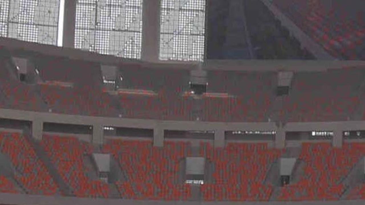 Beberapa jenis rumput yang dipakai di sejumlah stadion, di antaranya: