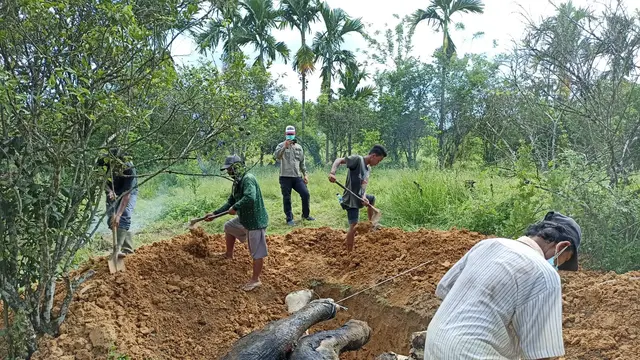 Gajah dikubur