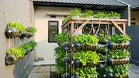 7 Ide Kebun Sayur dari Galon Bekas untuk Belakang Rumah Subsidi Ukuran 2x3 Meter yang Praktis