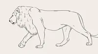 How to Draw a Lion in 2 Styles