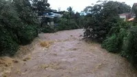 Banjir merendam sejumlah pemukiman di Bogor. (Liputan6.com/Achmad Sudarno)