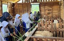 Desa Wisata Lerep Binaan PLN Catat Omzet Rp722 Juta Sepanjang 2025, Kunjungan Tembus 8.555 Wisatawan