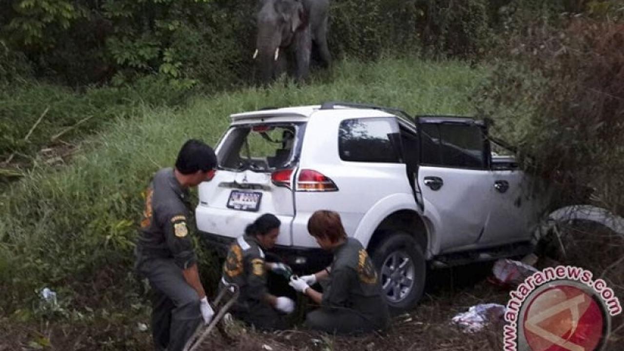 Ratusan Korban Jiwa Hiasi Libur Tahun Baru: Kecelakaan Lalu Lintas Thailand Merenggut Lebih dari 100 Nyawa