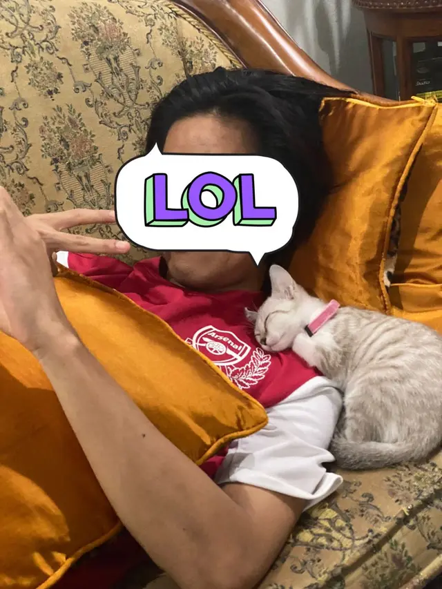 6 Kelakuan Kocak Orang Rebahan Bareng Kucing Ini Bikin Tepuk Jidat