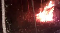 Kebakaran hutan dan lahan di Gunung Lawu. (Istimewa)