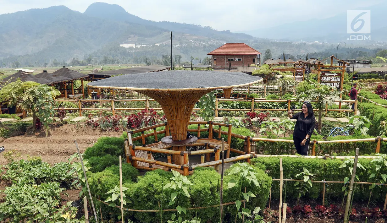 <p>Wisatawan berkunjung ke obyek wisata Kafe Sawah yang dikelola Badan Usaha Milik Desa (BUMDes) Pujon Kidul di Pujon, Malang, Jatim, Kamis (26/9/2019). OJK mendorong optimalisasi peran BUMDes untuk meningkatkan kesejahteraan masyarakat desa melalui program Laku Pandai. (Liputan6.com/Johan Tallo)</p>
