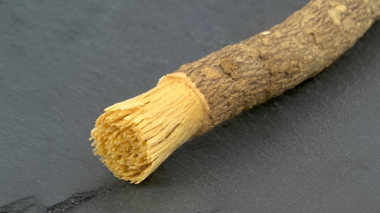 Apakah Kayu Siwak Bisa Membersihkan Karang Gigi?