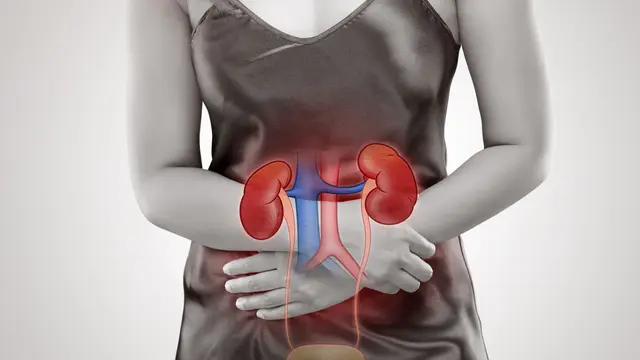 Gagal ginjal (iStockphoto)