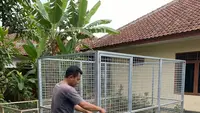 7 Desain Kebun Ayam yang Aman dari Predator di Rumah, Ternak Tenang