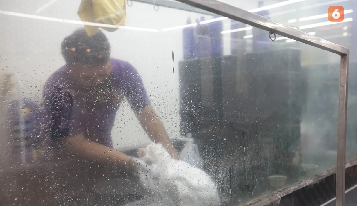 Sejumlah layanan perawatan hewan menjadi peluang bisnis yang dapat menambah pemasukan pet shop. Selain menjual makanan dan perlengkapan, layanan seperti memandikan hewan, mencukur bulu, grooming, penitipan hingga pemeriksaan kesehatan dapat menjadi pilihan bagi pemilik hewan peliharaan. Kenyamanan tempat, kebersihan serta tenaga profesional juga menjadi faktor penting dalam memberikan layanan sekaligus menjaga kepercayaan pelanggan. (KLY/Budy Santoso)