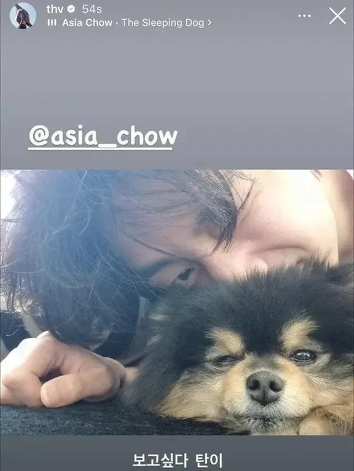6 Potret Kenangan Yeontan dengan V BTS, Saat Diadopsi hingga Tampil dalam Teaser Lagu di Pengujung Usianya
