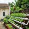 Rumah Kecil Type 45 dengan Kebun Sayur Belakang Rumah (Foto: Gemini AI)