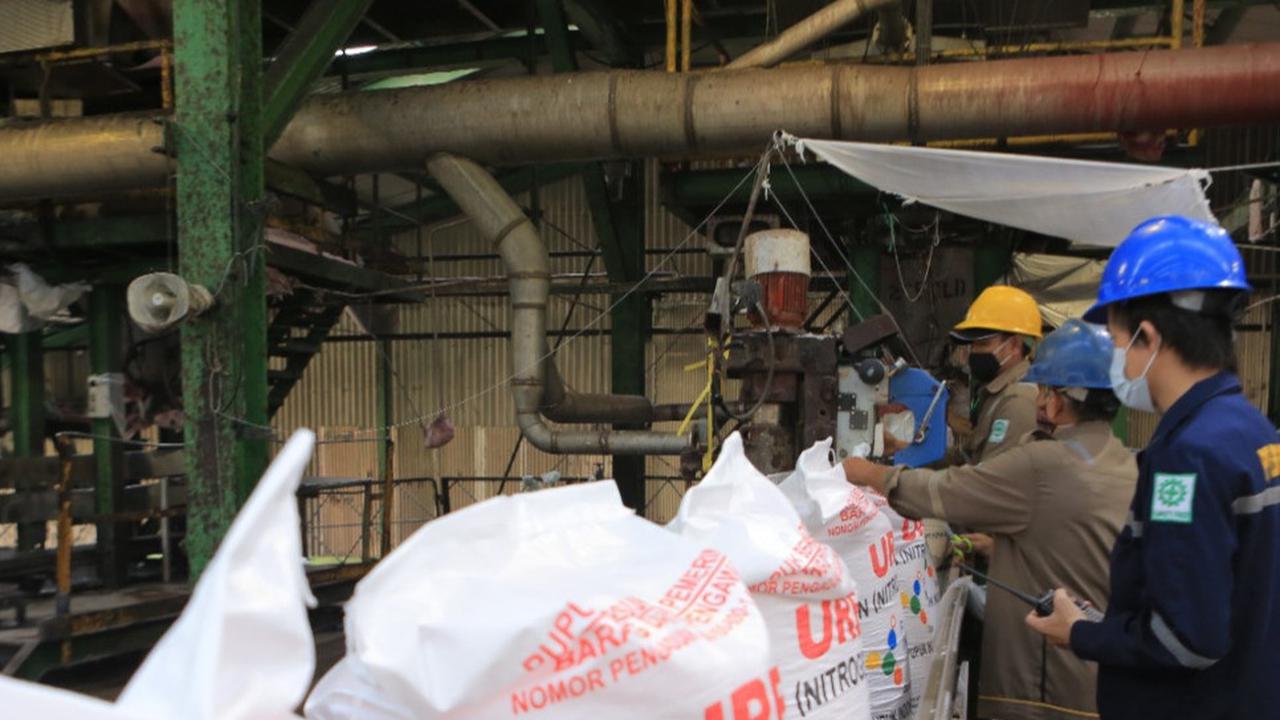 Adapun rinciannya, urea subsidi 782.796 ton dan NPK subsidi 430.813 ton. Sementara urea nonsubsidi 439.127 ton dan NPK nonsubisidi 88.314 ton.