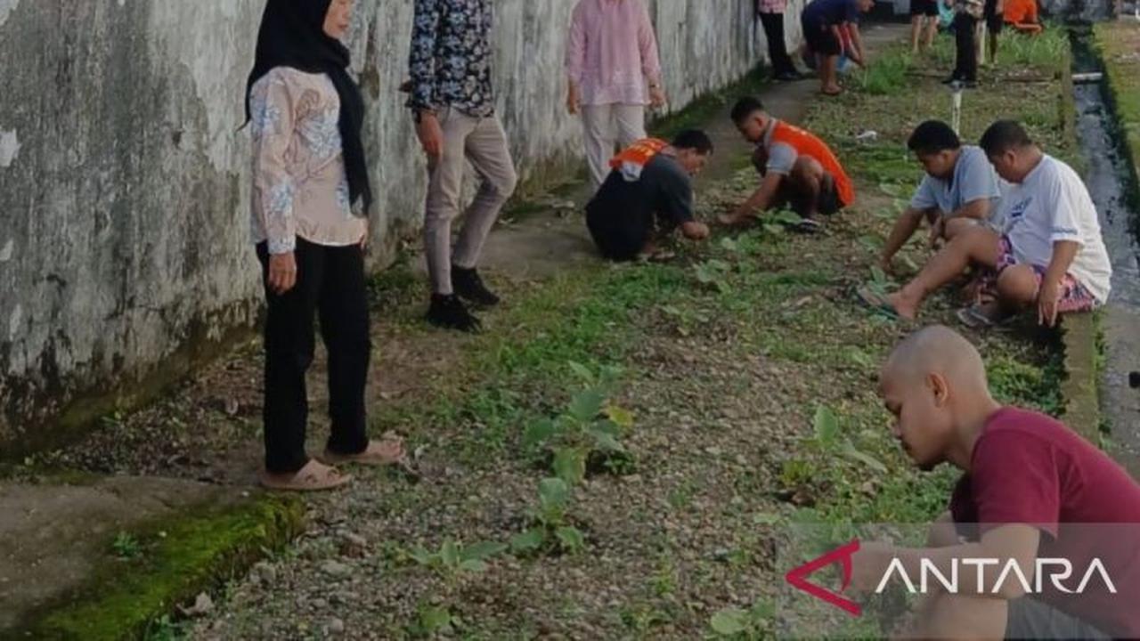 Budidaya Terong Rutan Ambon: Bekal Kemandirian WBP untuk Kembali ke Masyarakat