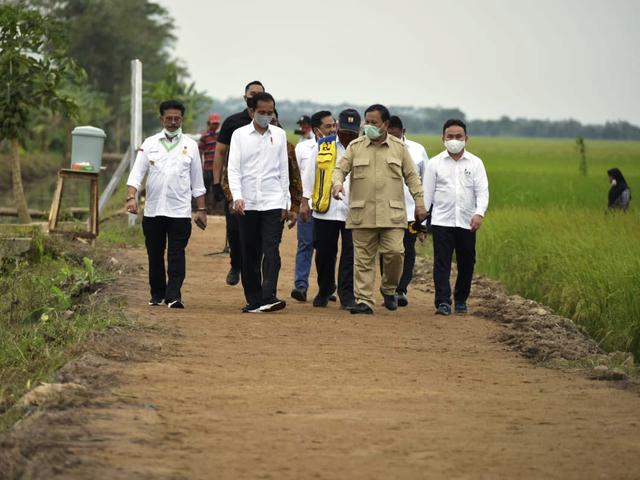 Pembangunan Food Estate Di Kalteng Alami Kendala Bisnis Liputan6 Com