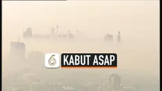 THUMBNAIL KABUT SYDNEY