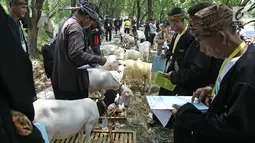 Para juri sedang menilai domba saat lomba kontes ternak domba dalam acara jambore peternakan nasional 2017 di Buperta Cibubur, Jakarta, Sabtu (23/9). Kontes ternak domba diikuti 131 peserta. (Liputan6.com/Herman Zakharia)