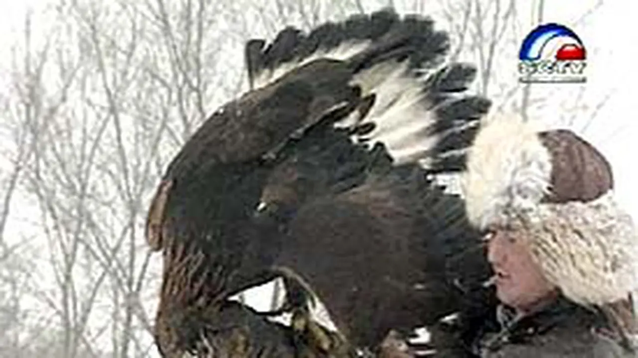 210203bElang.jpg
