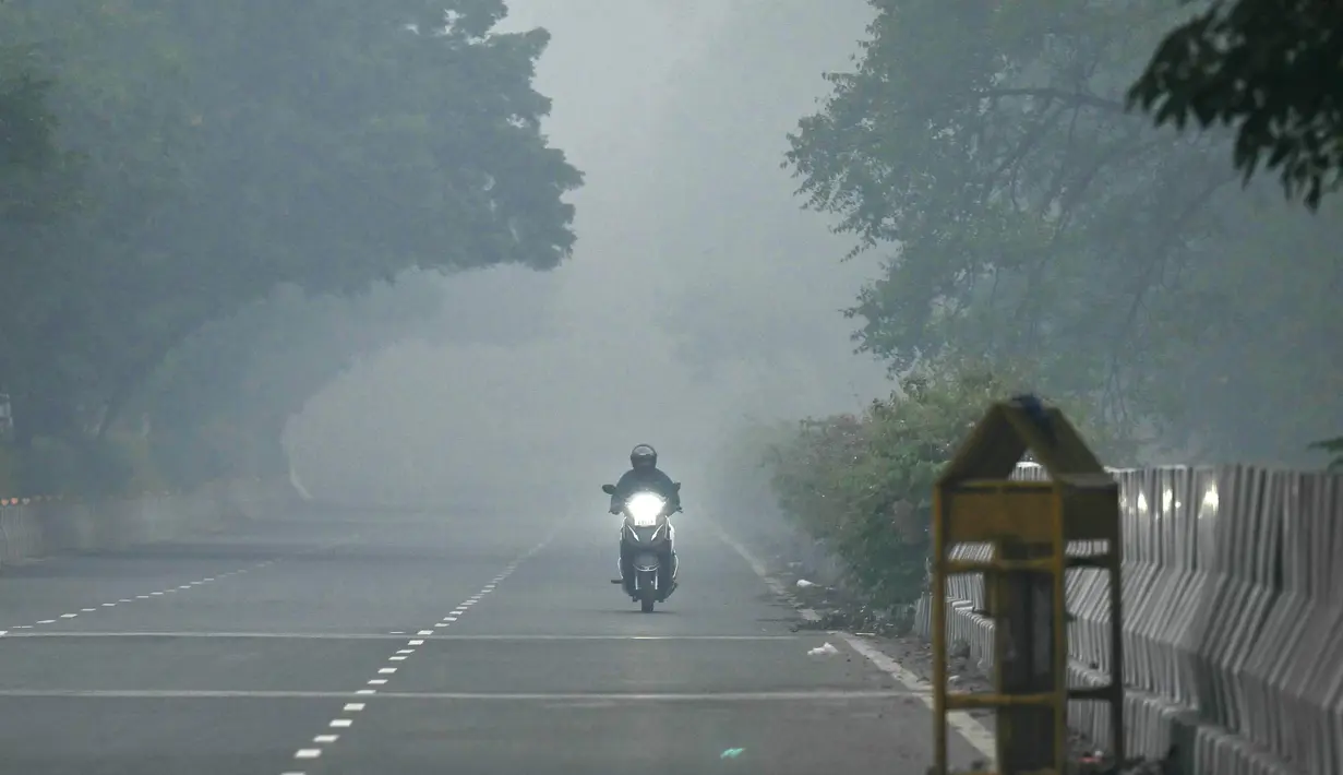 Berbagai macam emisi pabrik dan kendaraan serta kebakaran lahan pertanian memperburuk kualitas udara di New Delhi, India. (Money SHARMA / AFP)