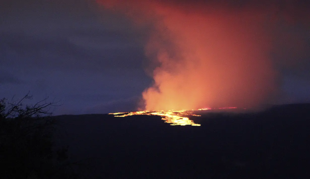 Lava menyembur keluar dari kawah puncak Mauna Loa sekitar pukul 06.35 Senin, 28 November 2022, terlihat dari Area Rekreasi Gilbert Kahele di Maunakea, Hawaii. Mauna Loa, gunung berapi aktif terbesar di dunia, mulai memuntahkan abu dan puing-puing dari puncaknya, mendorong pejabat pertahanan sipil untuk memperingatkan penduduk pada hari Senin untuk bersiap jika letusan menyebabkan lahar mengalir ke masyarakat. (Chelsea Jensen/West Hawaii Today via AP)