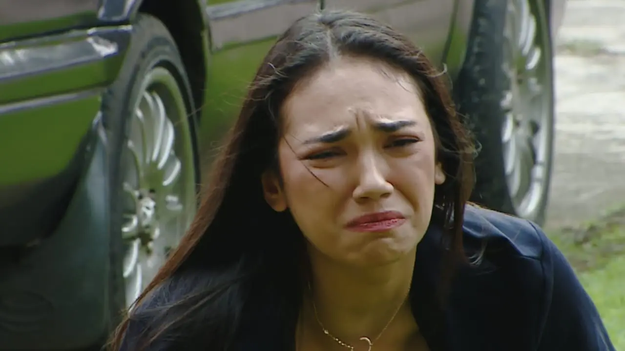 Buku Harian Seorang Istri