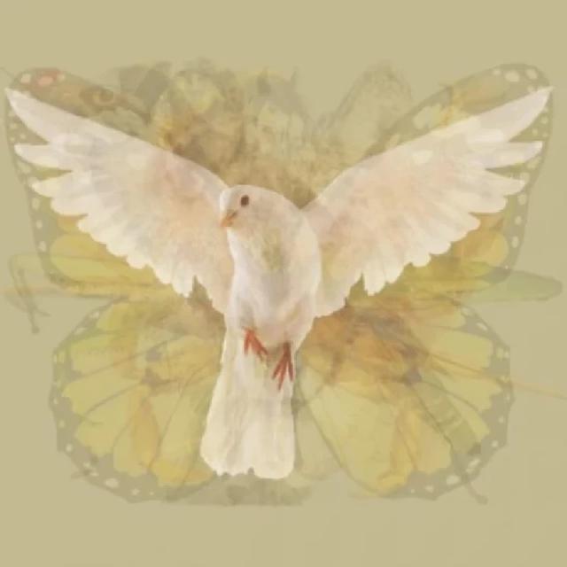 Hewan Pertama yang Dilihat Ungkap Sifat Dominan Kamu