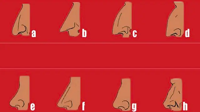 Yuk Ketahui Kepribadianmu dari Bentuk Hidung yang Dimiliki