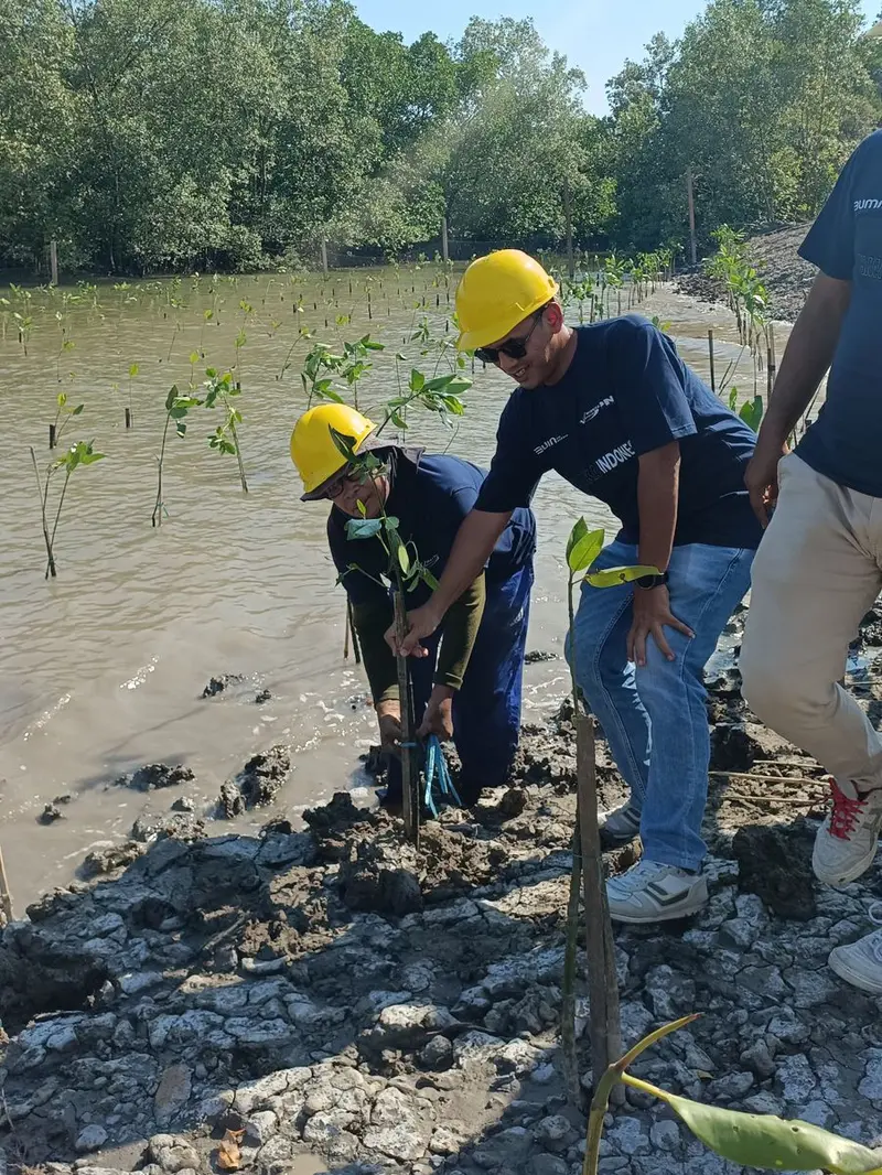 Penanaman mangrove di Pulau Balang. (Liputan6.com/ ist)