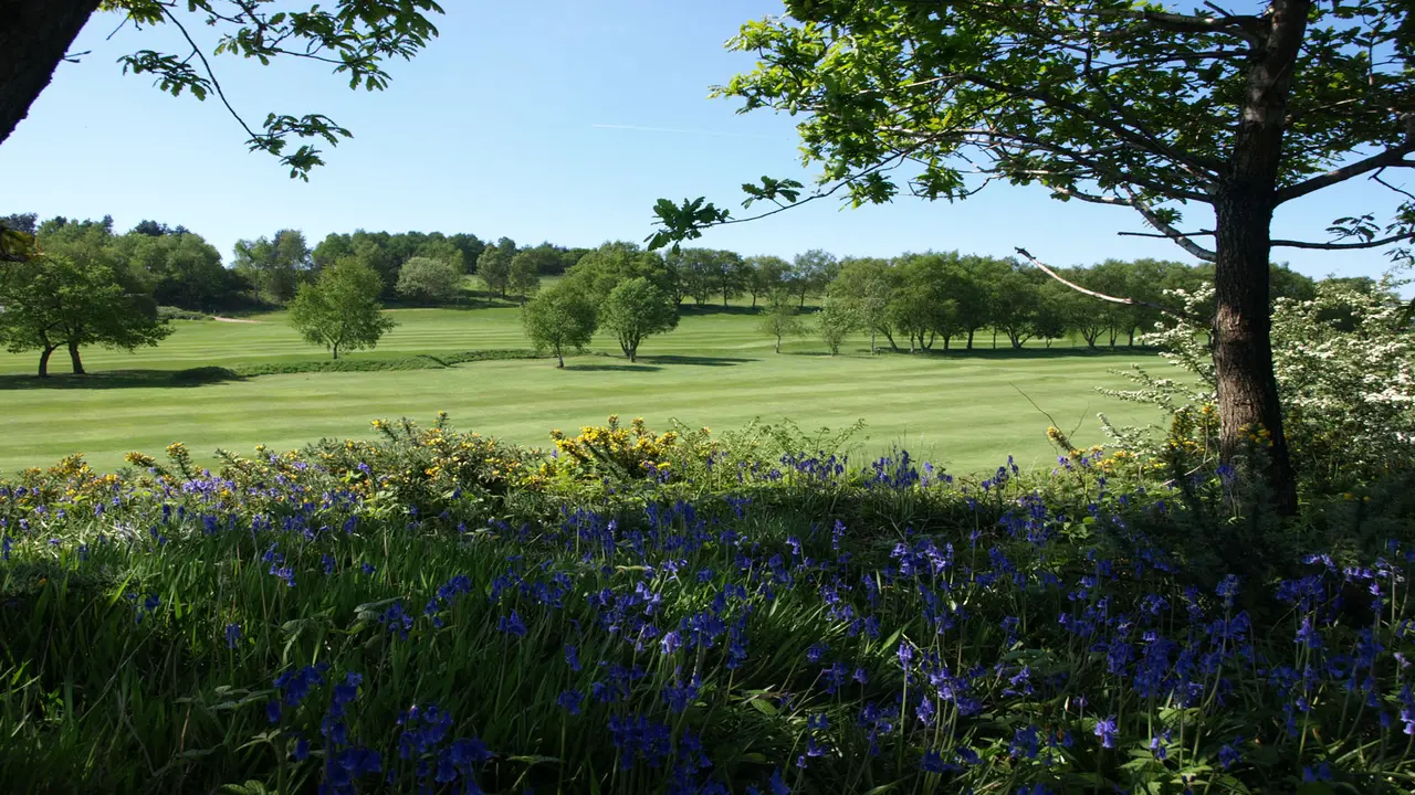 Lapangan Disley Golf Club di Inggris