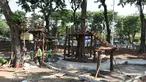 Petugas Dinas Kehutanan Jakarta Barat menyelesaikan pembangunan rumah pohon di kawasan Tomang, Jakarta, Selasa (19/11/2019). Pembangunan taman tersebut dilengkapi dengan rumah pohon untuk menambah ruang bermain anak. (Liputan6.com/Herman Zakharia)