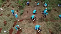 NEC Indonesia telah melakukan penanaman 6.250 pohon di Desa Sukaresmi dan Sukaharja, Bogor, Jawa Barat. Credit: NEC Indonesia