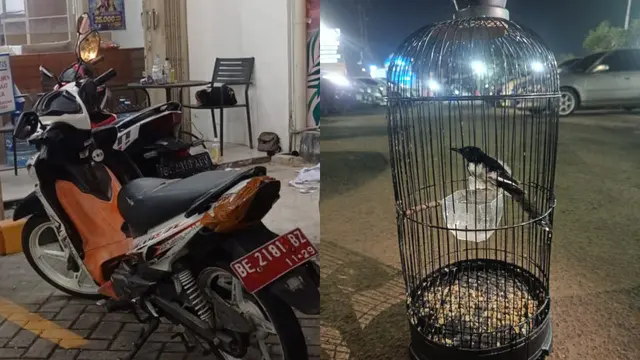 Ditembak Polisi, 2 Pemuda di Lampung Kepergok Nyabu Usai Curi Motor dan Burung Milik Pejabat Pemprov