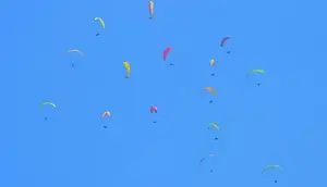 Sukses Gelar Task 2 IPXC Panglima TNI Cup dan Kejurnas Paralayang 2026, Wonogiri Siap Jadi Tuan Rumah Permanen