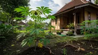 7 Pakan Alami yang Sering Tumbuh di Pekarangan, Solusi Pakan Ternak Hemat dan Bernutrisi