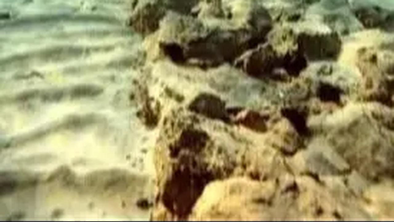 Penyebab Air Laut Asin
