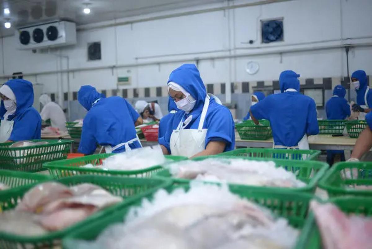 SK Terbaru tentang 27 November Pilkada, Libur atau Tidak? Pengusaha Wajib Liburkan Buruh, jika Tidak Wajib Beri Upah Lembur