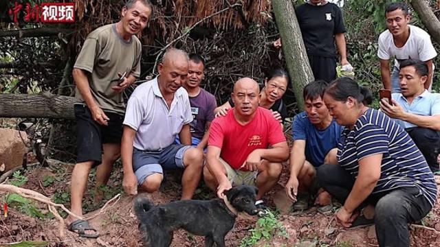 anjing terjebak direruntuhan selama 1 bulan