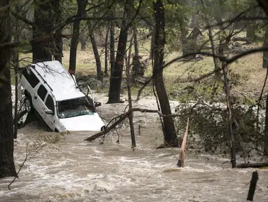 Mobil terjebak disebuah pohon dengan luapan air sungai yang deras akibat Tornado yang menyaou bagian kota Texas, Amerika Serikat, Jumat (30/10/2015). Tornando disertai hujan ini mengakibatkan  Jalanan menjadi banjir. (REUTERS/Ilana Panich - Linsman)