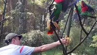 Keeper hewan di Bandung Zoo tengah mempersiapkan dan memberi makan hewan. (Liputan6.com/Arie Nugraha)