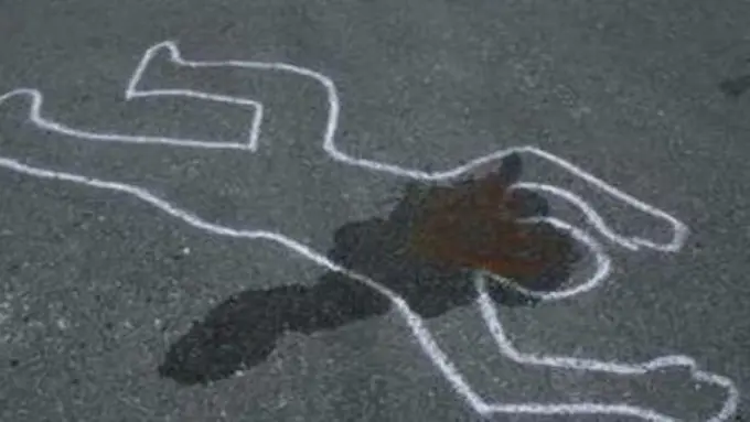 Bercinta di Atap, Pasangan Ini Tewas Gelinding ke Bawah