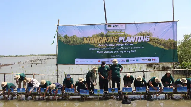 Penanaman mangrove pada 2025 difokuskan di Pantai Bahagia, Muara Gembong, namun dengan skala kolaborasi dan target penyerapan karbon yang lebih besar.