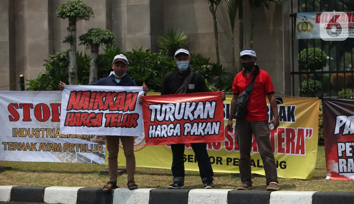 Senayan, Jakarta, Senin (11/10/2021). Harga telur ditingkat peternak mencapai Rp 12.500 sampai Rp 13.500 per Kilogram, atau jauh dibawah HPP telur yakni berkisar di harga Rp 21.500 per (Liputan6.com/Johan Tallo)