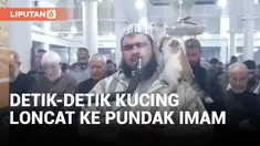 Imam Tetap Fokus Pimpin Salat Meski Dilompati Kucing