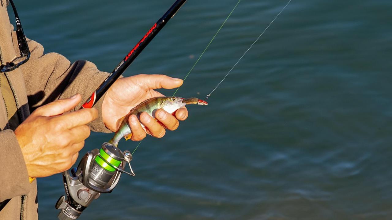 9 Spot Mancing Ternyaman di Cilacap 2025: Nyaman dan Cocok untuk Pencinta Joran
